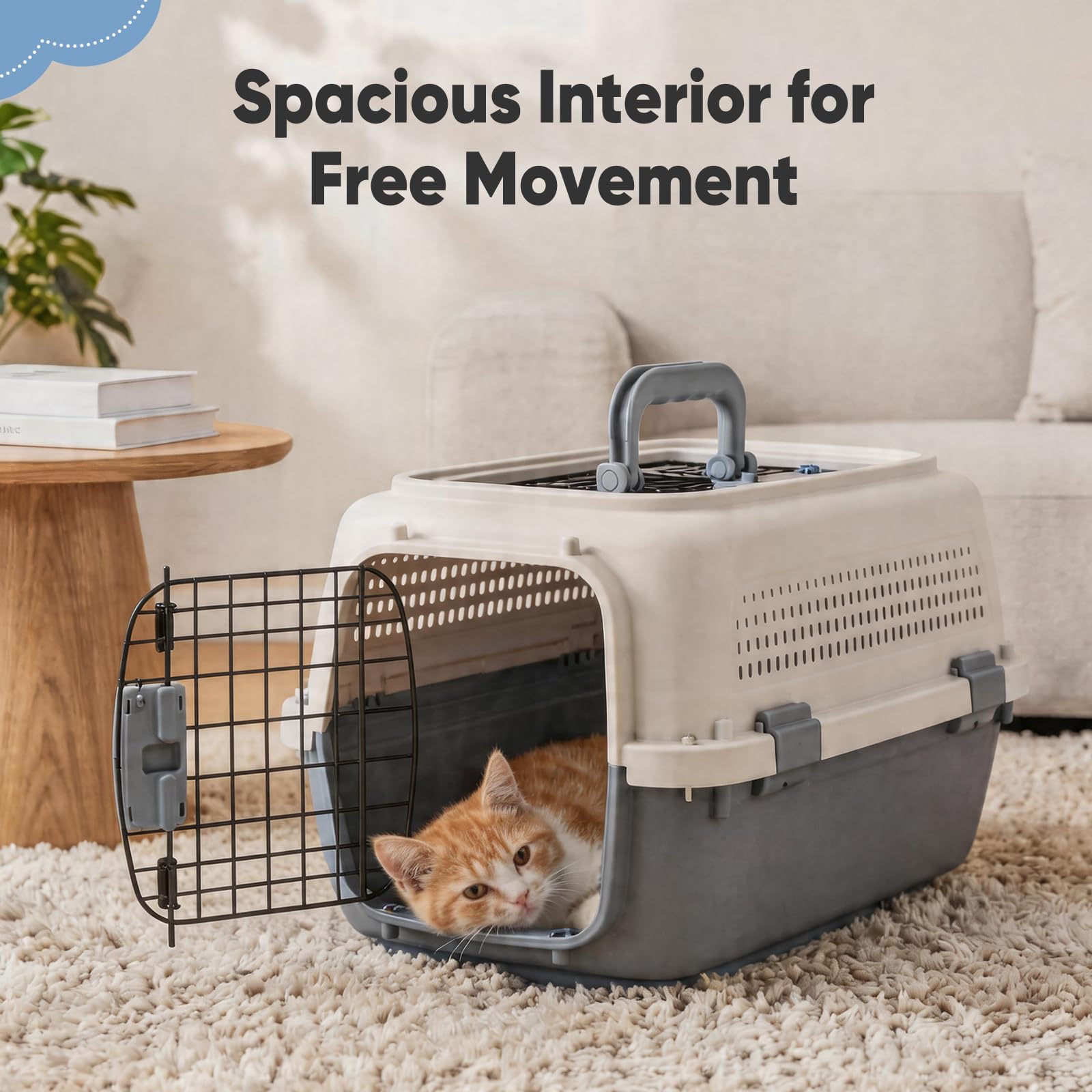 Airline Approved Pet Carrier Crate Small Dogs Cats