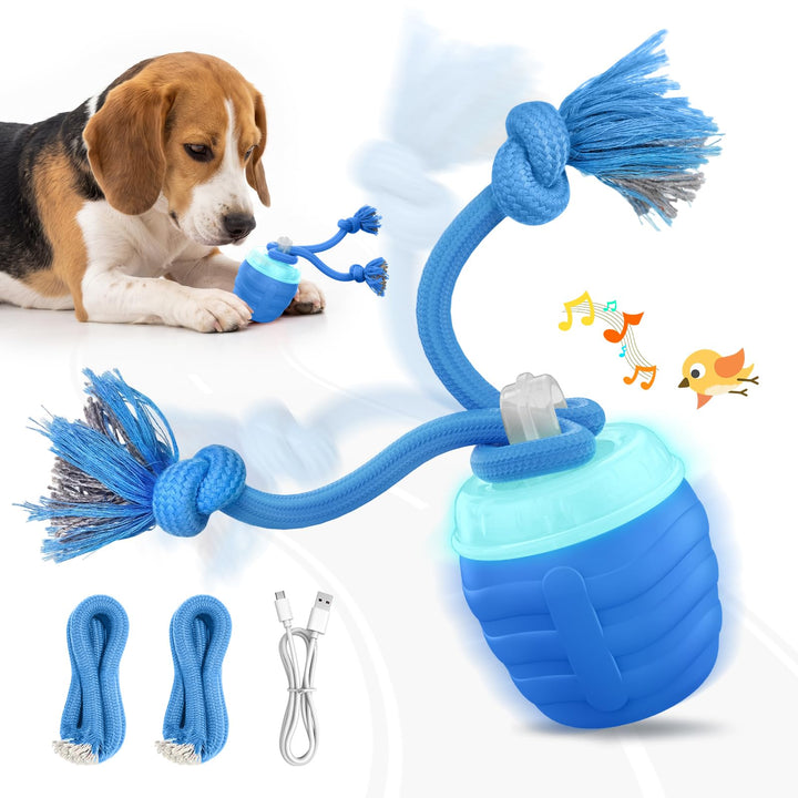 Interactive Automatic Rolling Dog Ball With Rope Toy