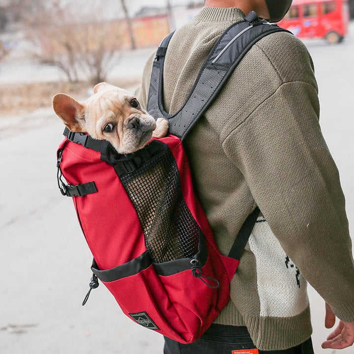 Portable Double-Shoulder Dog Carrier Backpack For Outdoor Travel
