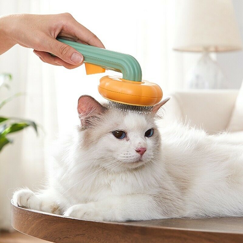 Pumpkin Self-Cleaning Slicker Brush For Dogs Cats