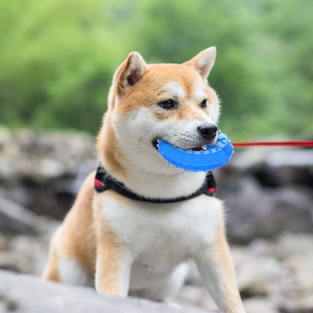 Cooling Dog Teether Chew Toy For Puppies Treats