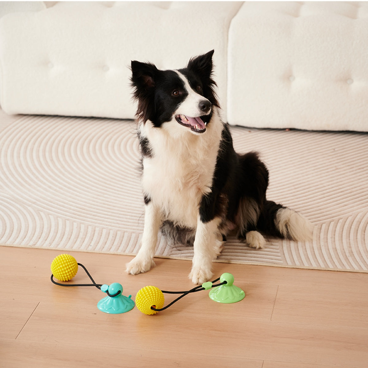 Corn Ball Suction Cup Dog Tug Of War Toy