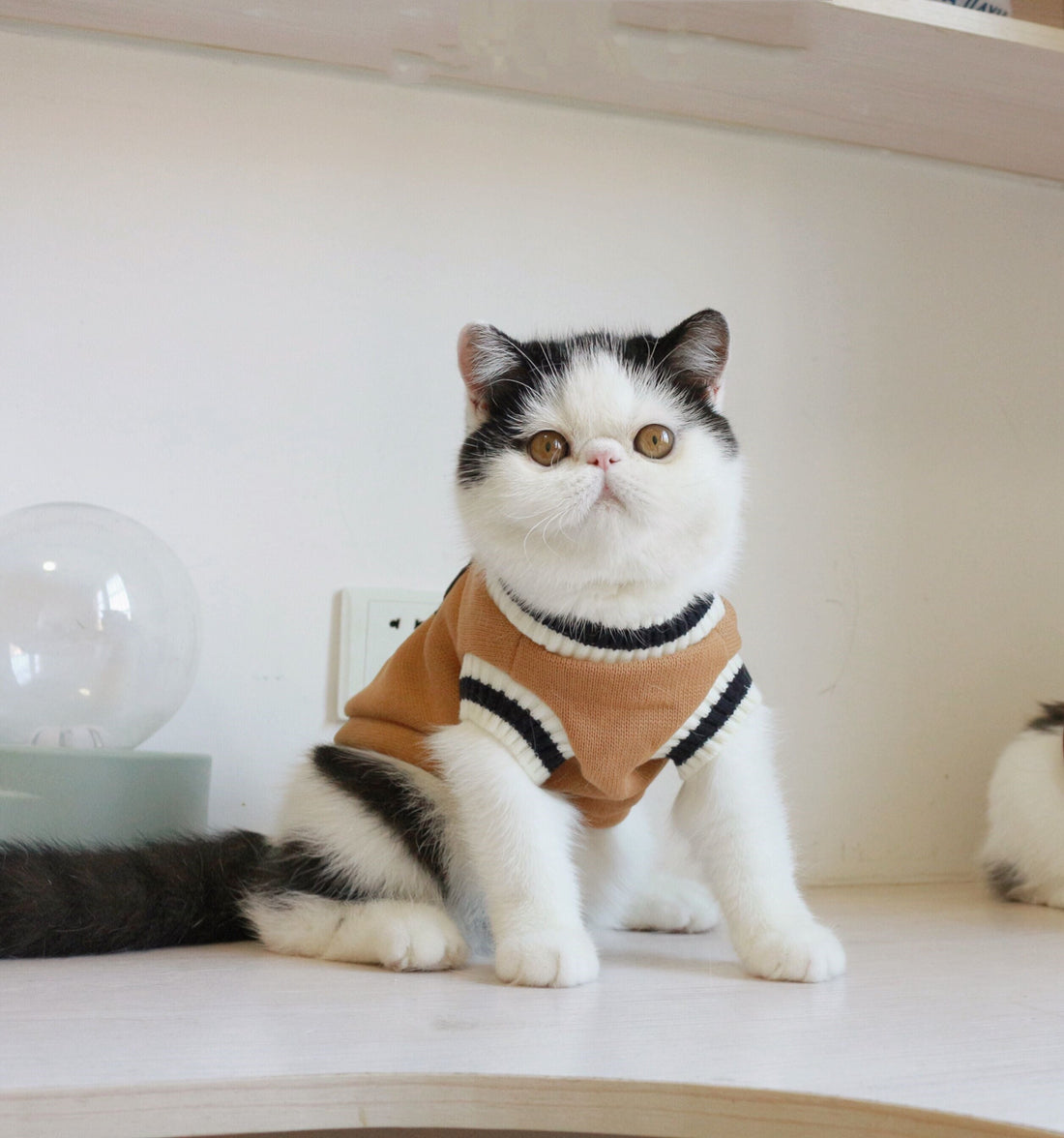 American College Style Fleece Cat Knit Sweater Vest