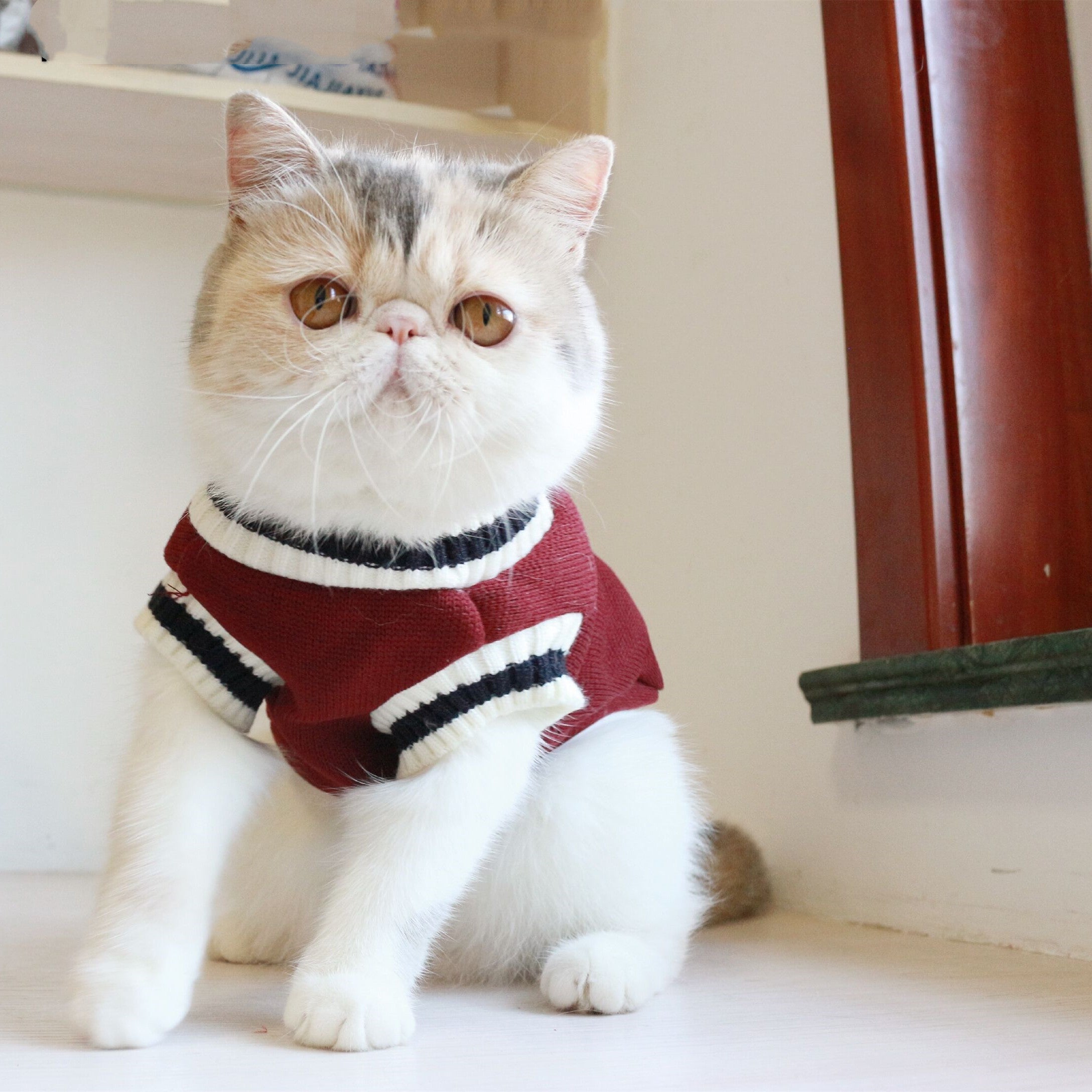 American College Style Fleece Cat Knit Sweater Vest