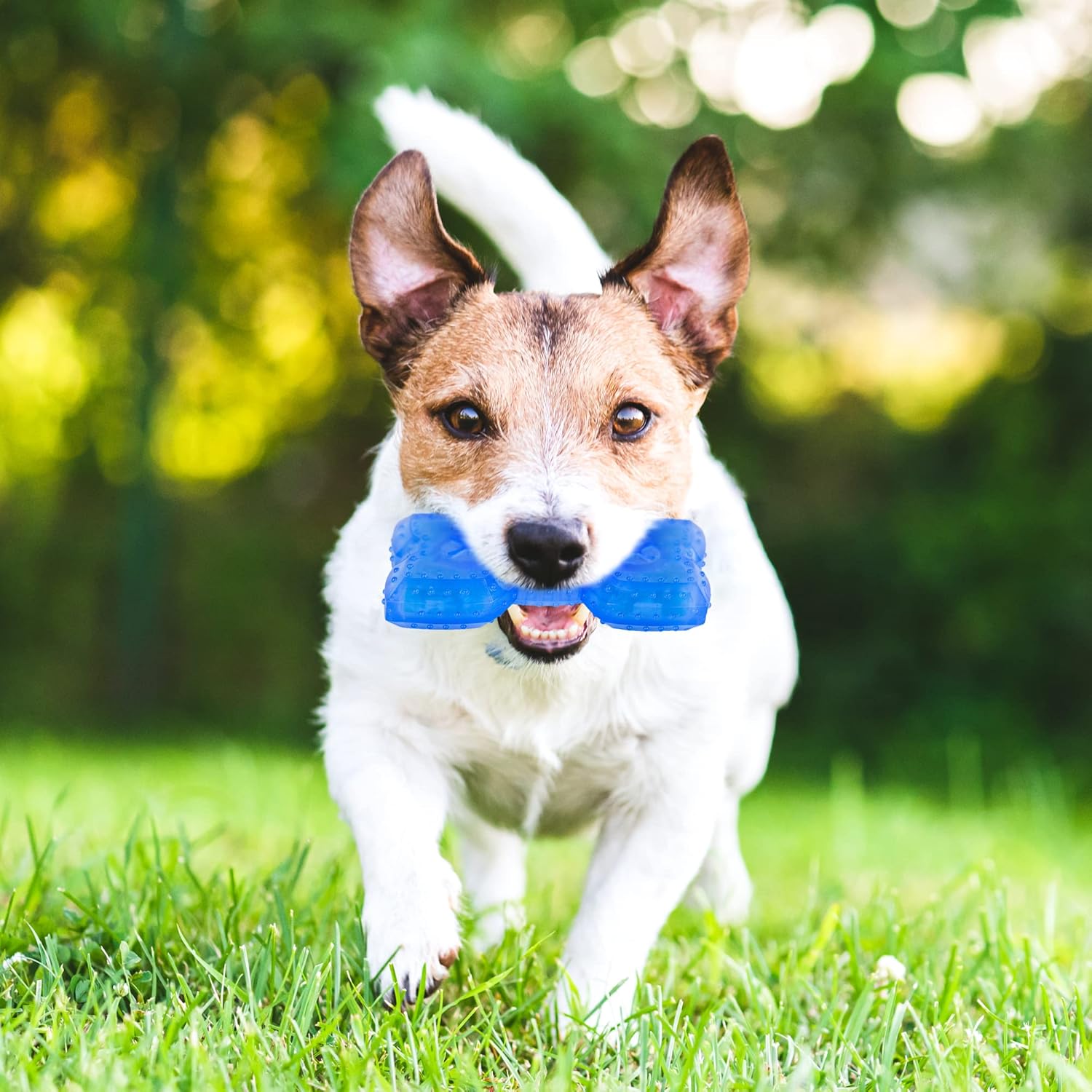 Cooling Dog Teether Chew Toy For Puppies Treats