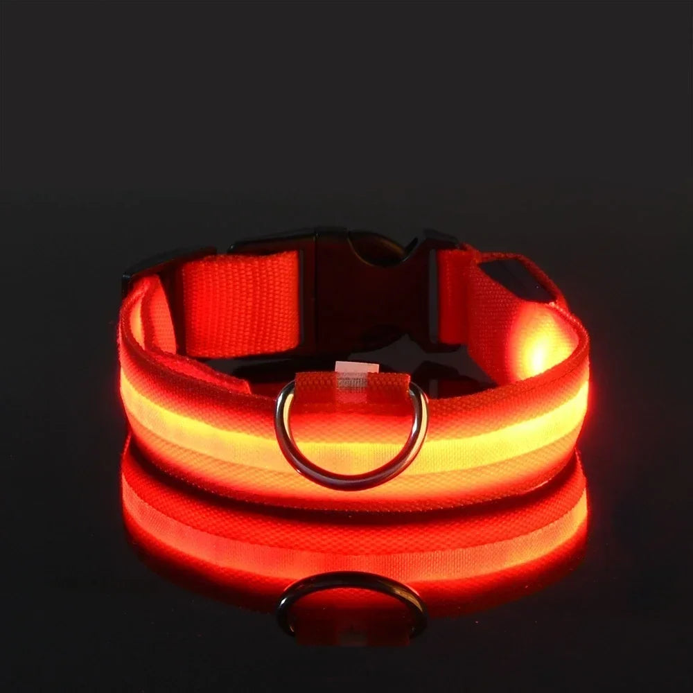 Nylon LED Dog Collar Flashing Glow Night Safety