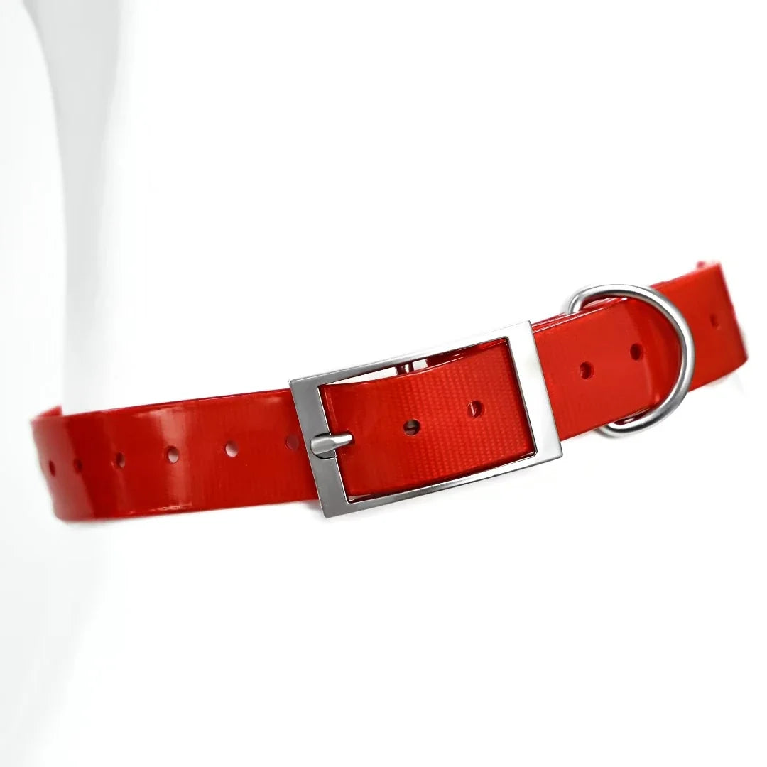 2.5cm Wide TPU Dog Collar Waterproof Adjustable
