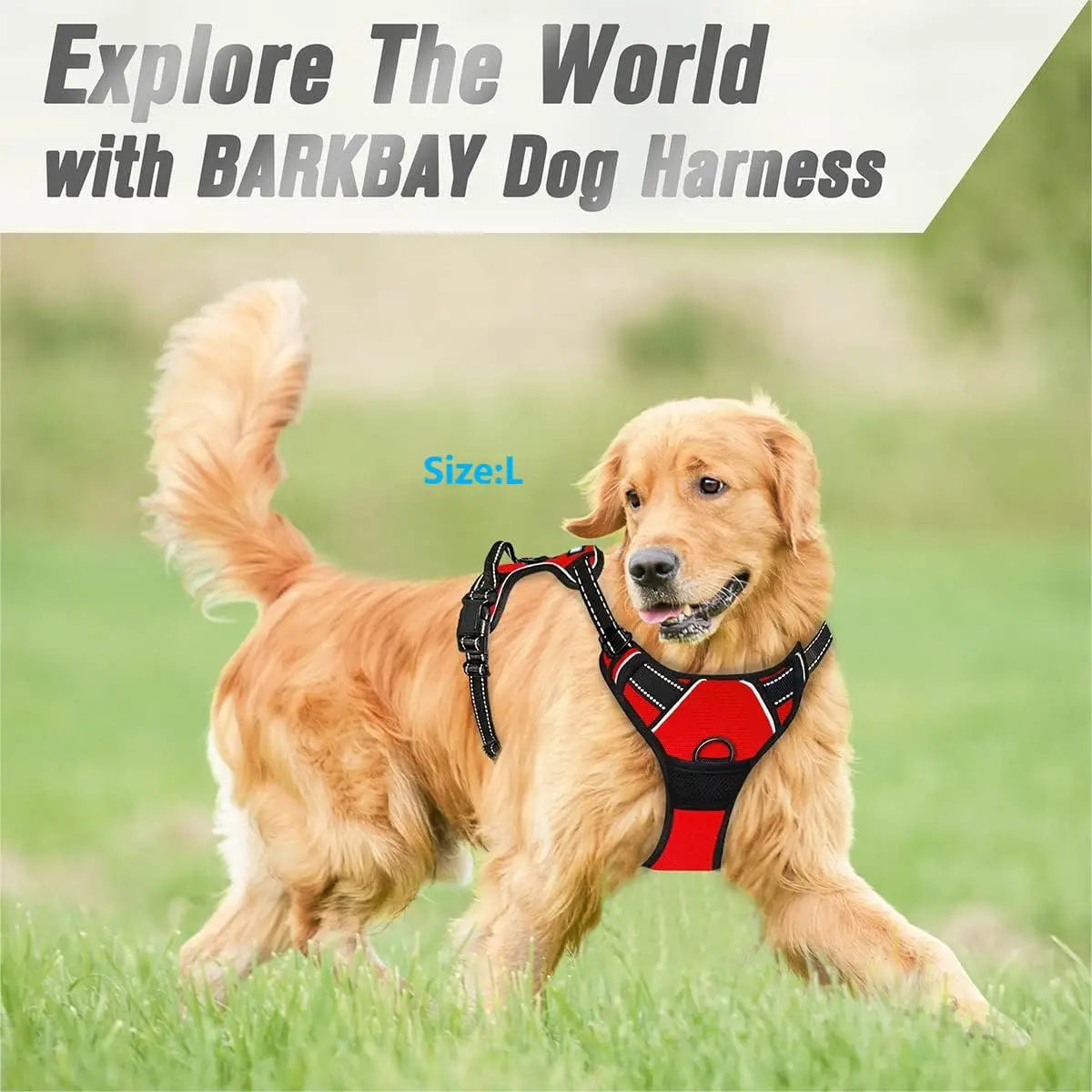 Heavy Duty No Pull Dog Harness Reflective Front