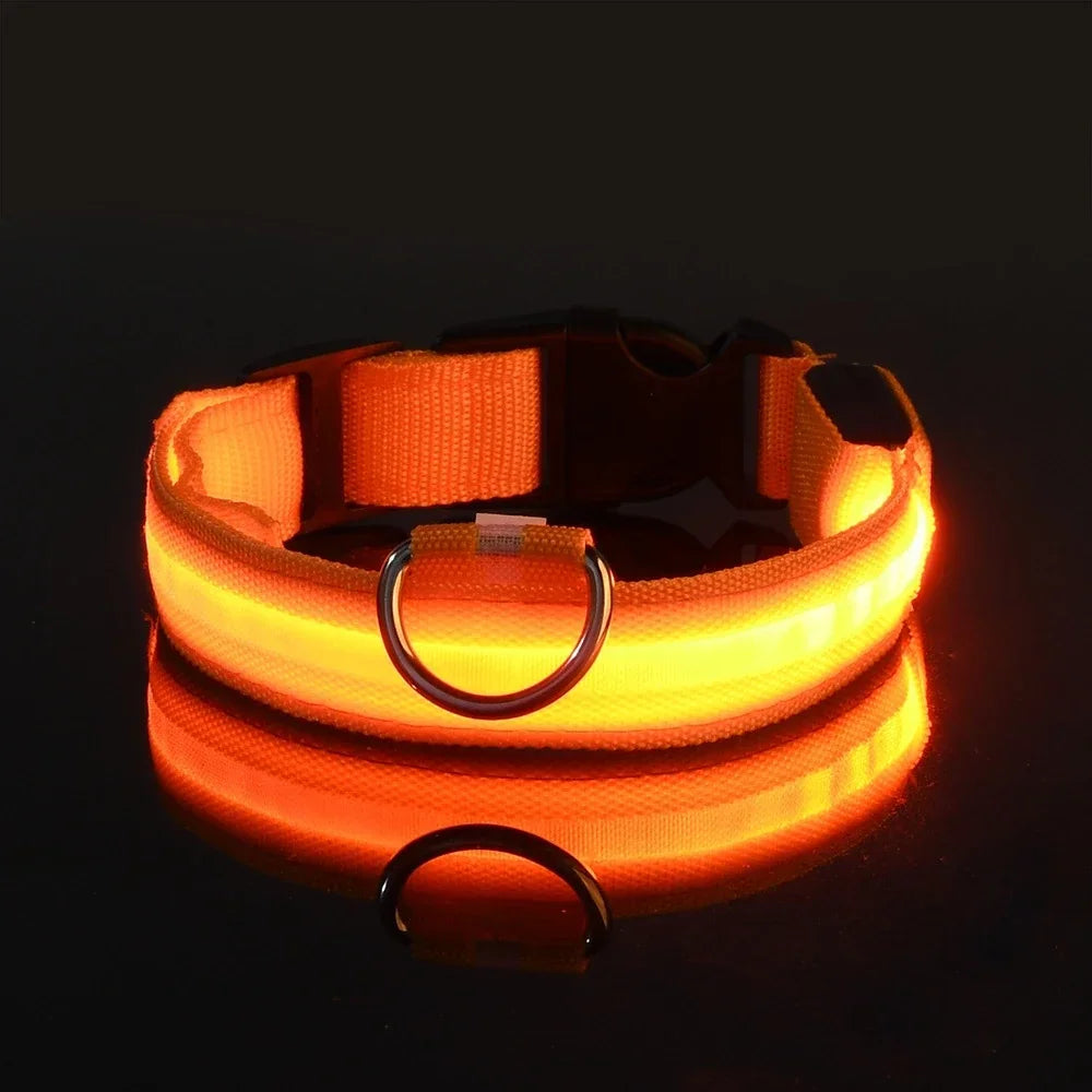 Nylon LED Dog Collar Flashing Glow Night Safety