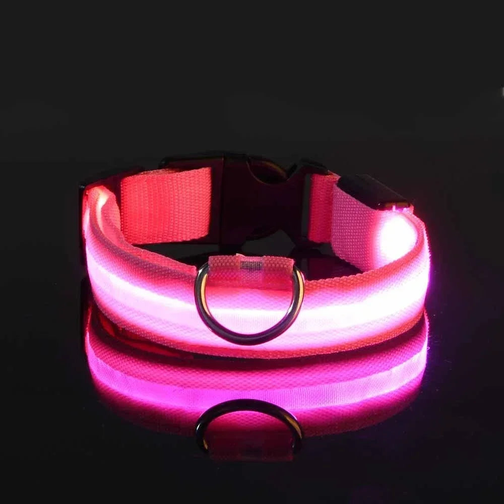 Nylon LED Dog Collar Flashing Glow Night Safety
