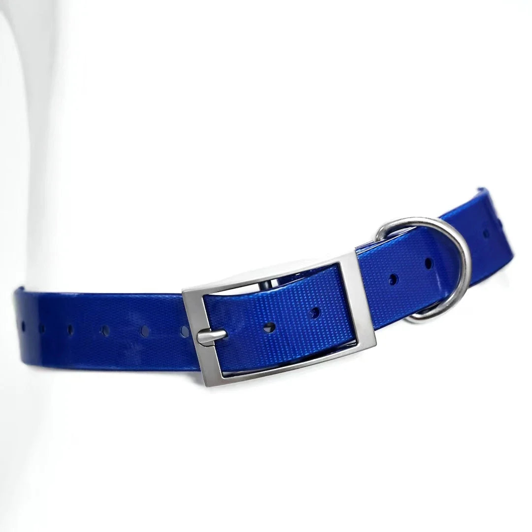2.5cm Wide TPU Dog Collar Waterproof Adjustable