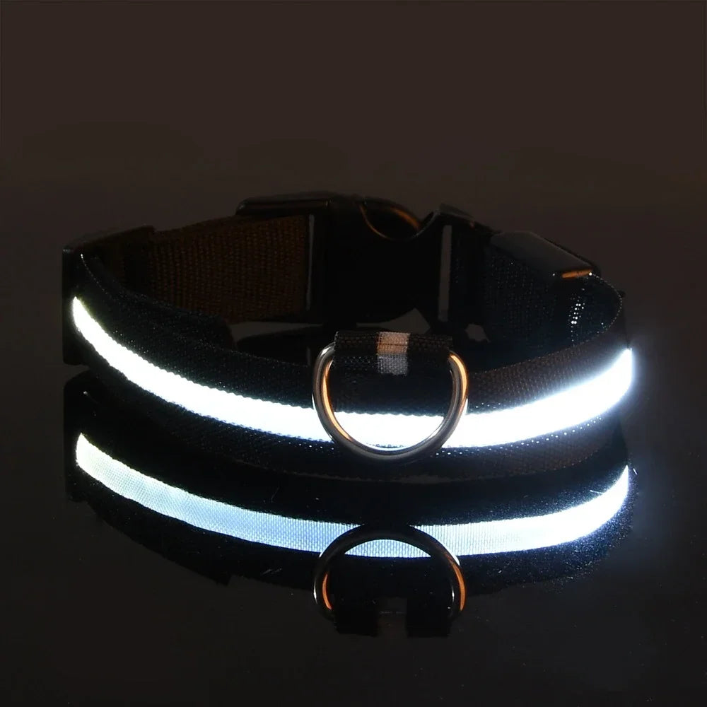Nylon LED Dog Collar Flashing Glow Night Safety