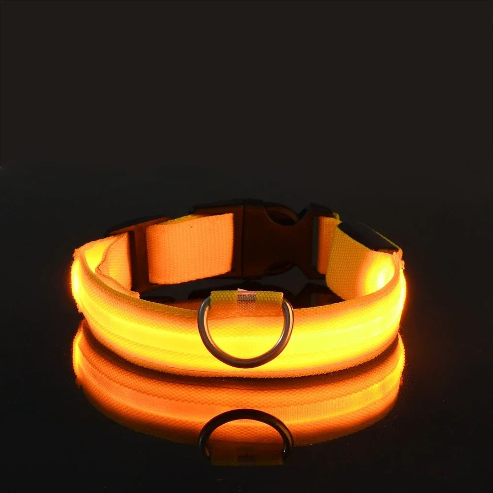 Nylon LED Dog Collar Flashing Glow Night Safety