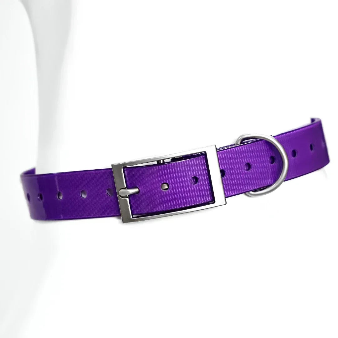 2.5cm Wide TPU Dog Collar Waterproof Adjustable
