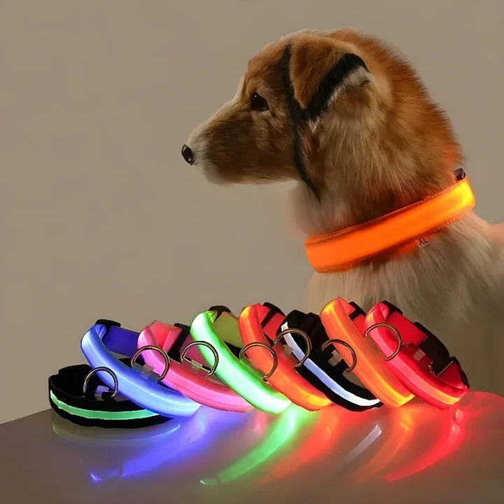 Nylon LED Dog Collar Flashing Glow Night Safety
