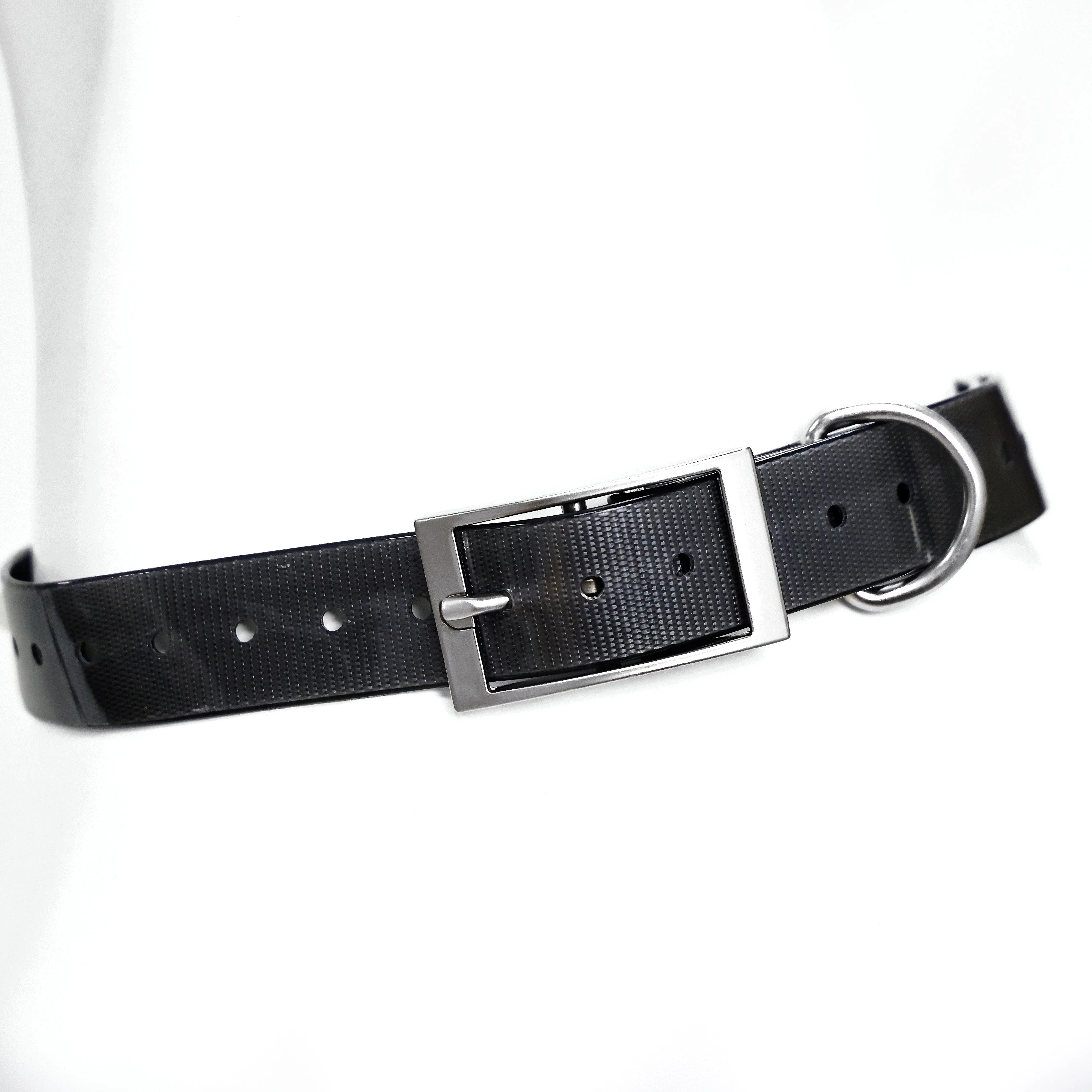 2.5cm Wide TPU Dog Collar Waterproof Adjustable