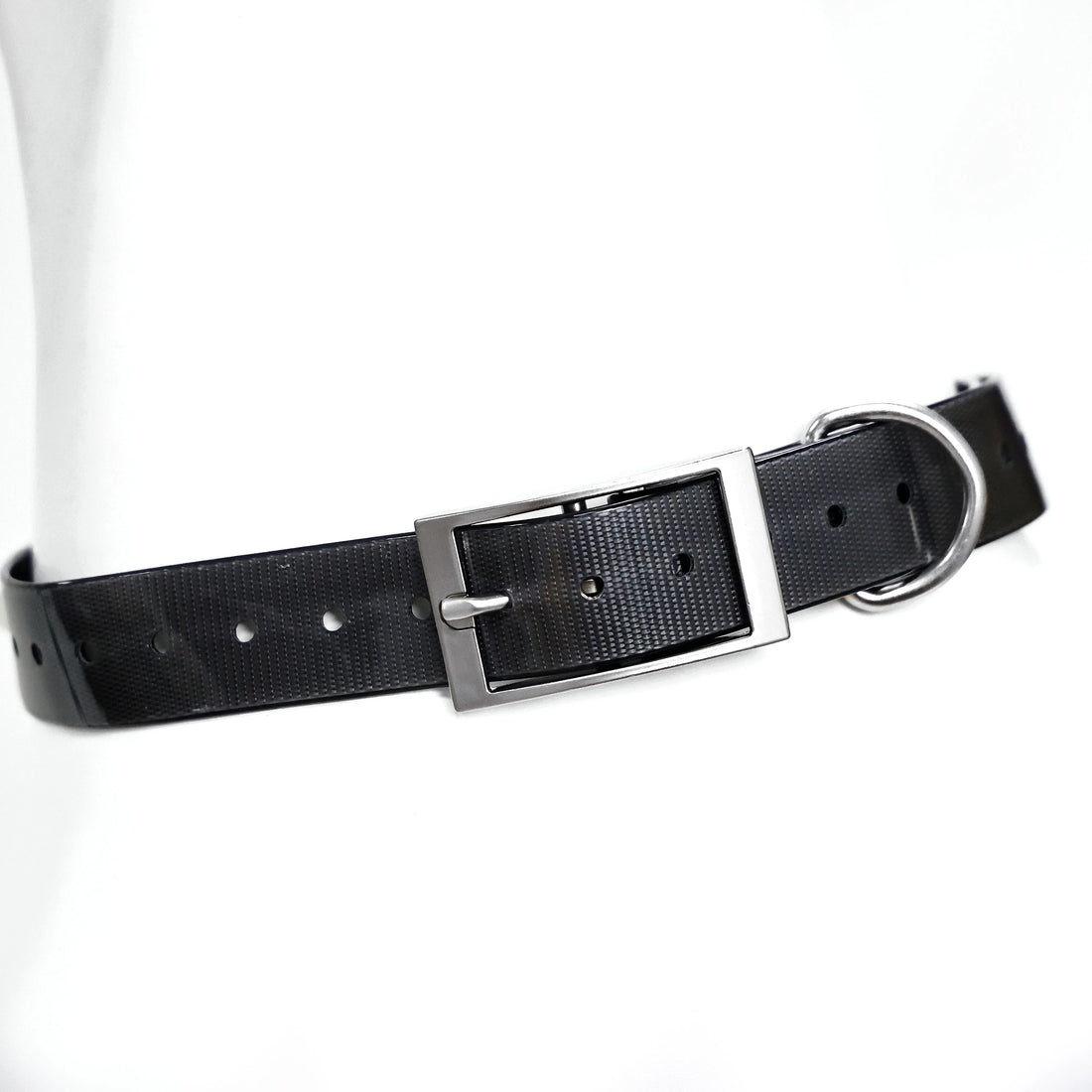 2.5cm Wide TPU Dog Collar Waterproof Adjustable