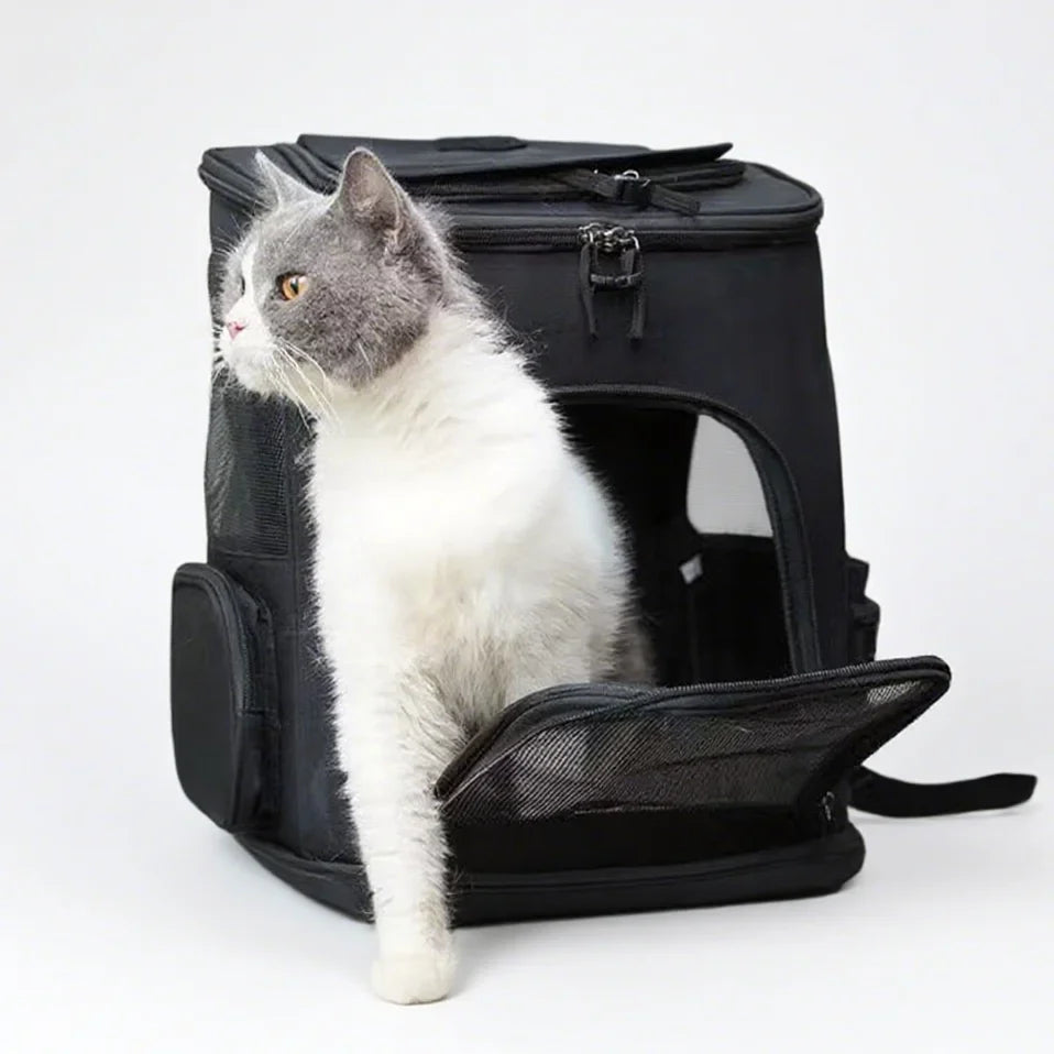 Expandable Pet Carrier Backpack For Cats Dogs Under