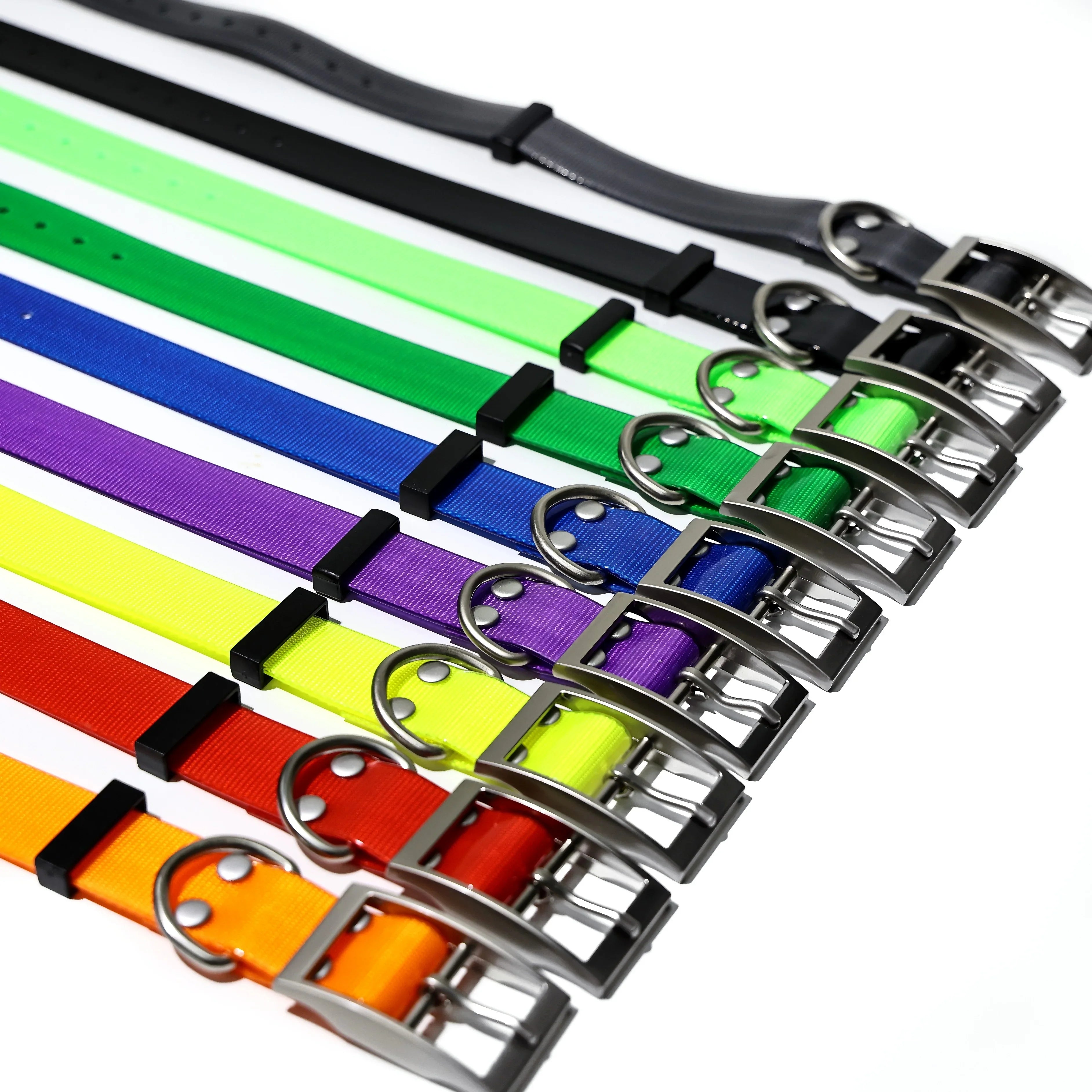 2.5cm Wide TPU Dog Collar Waterproof Adjustable