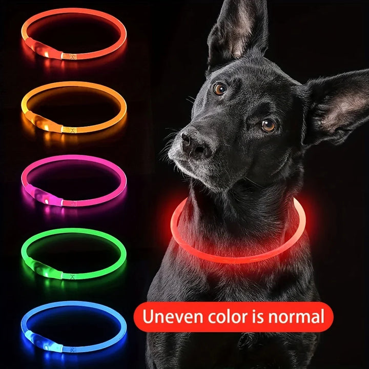 LED Light Dog Collar USB Rechargeable Luminous Safety