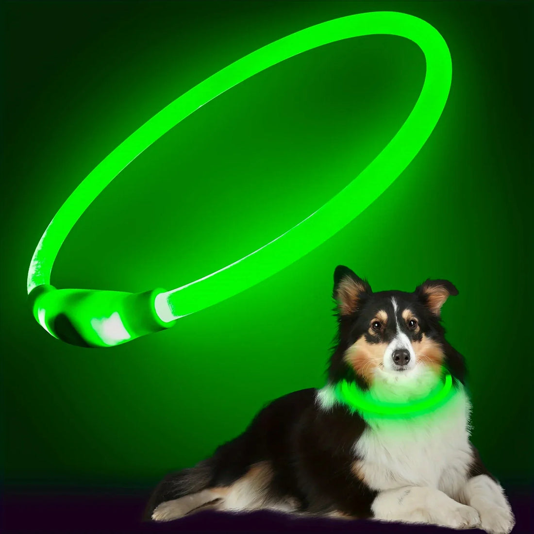 LED Light Dog Collar USB Rechargeable Luminous Safety
