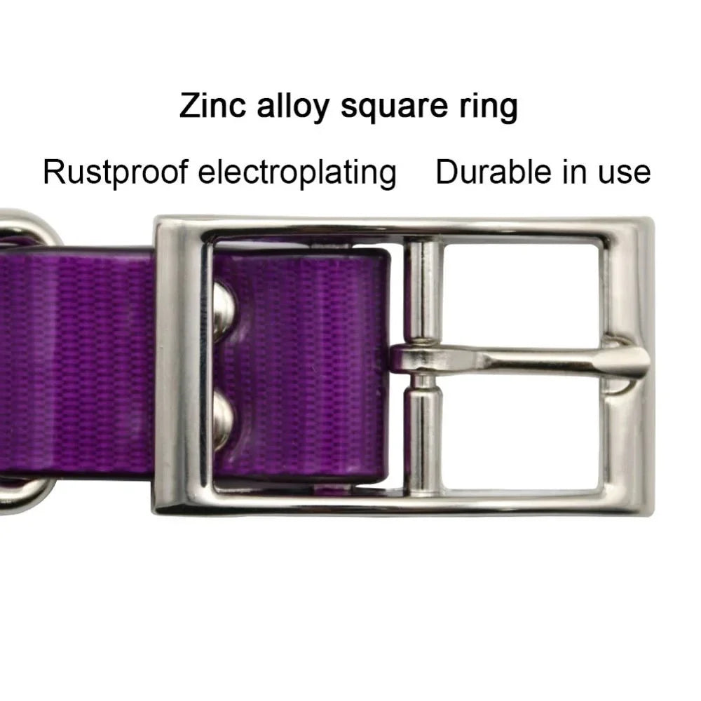 2.5cm Wide TPU Dog Collar Waterproof Adjustable