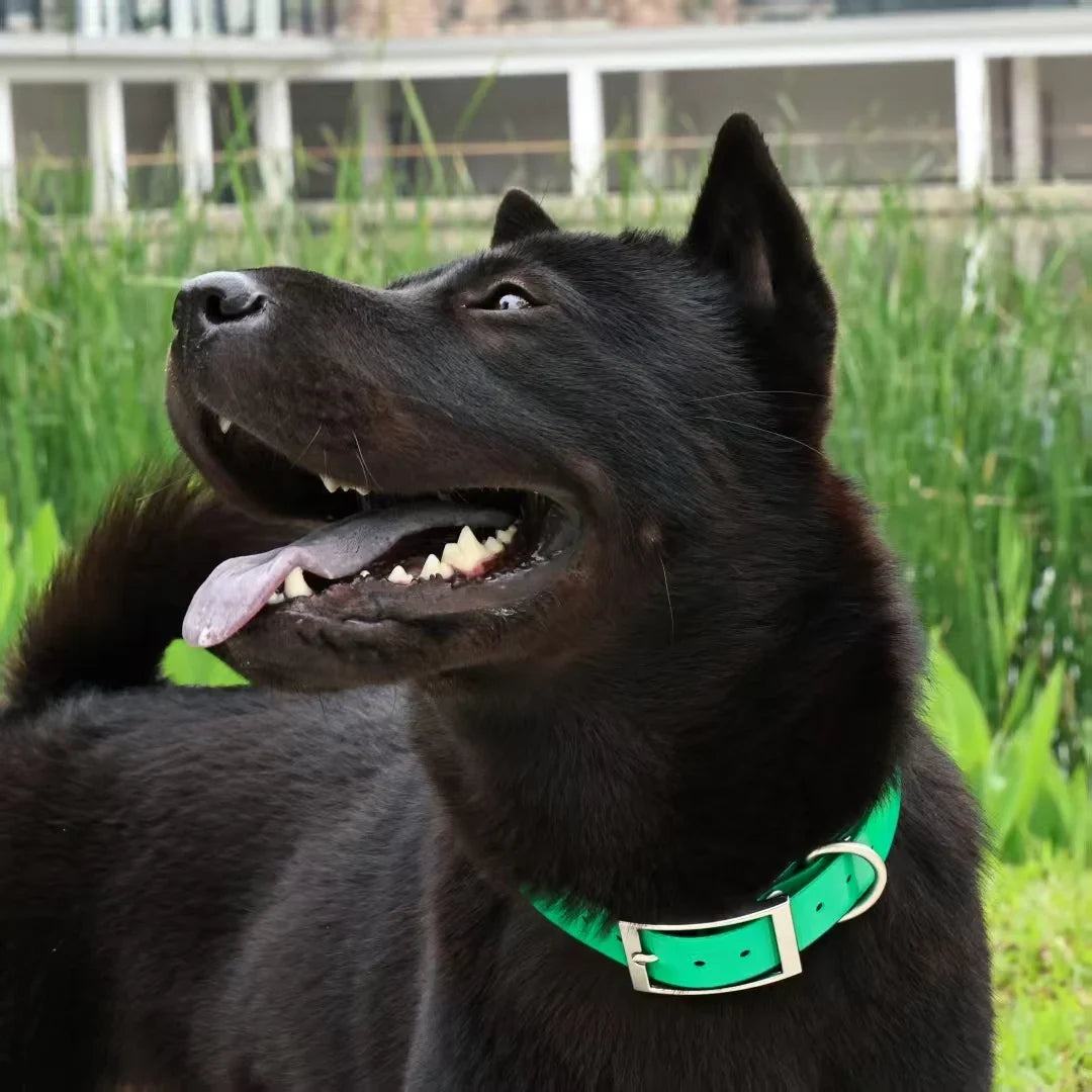 2.5cm Wide TPU Dog Collar Waterproof Adjustable