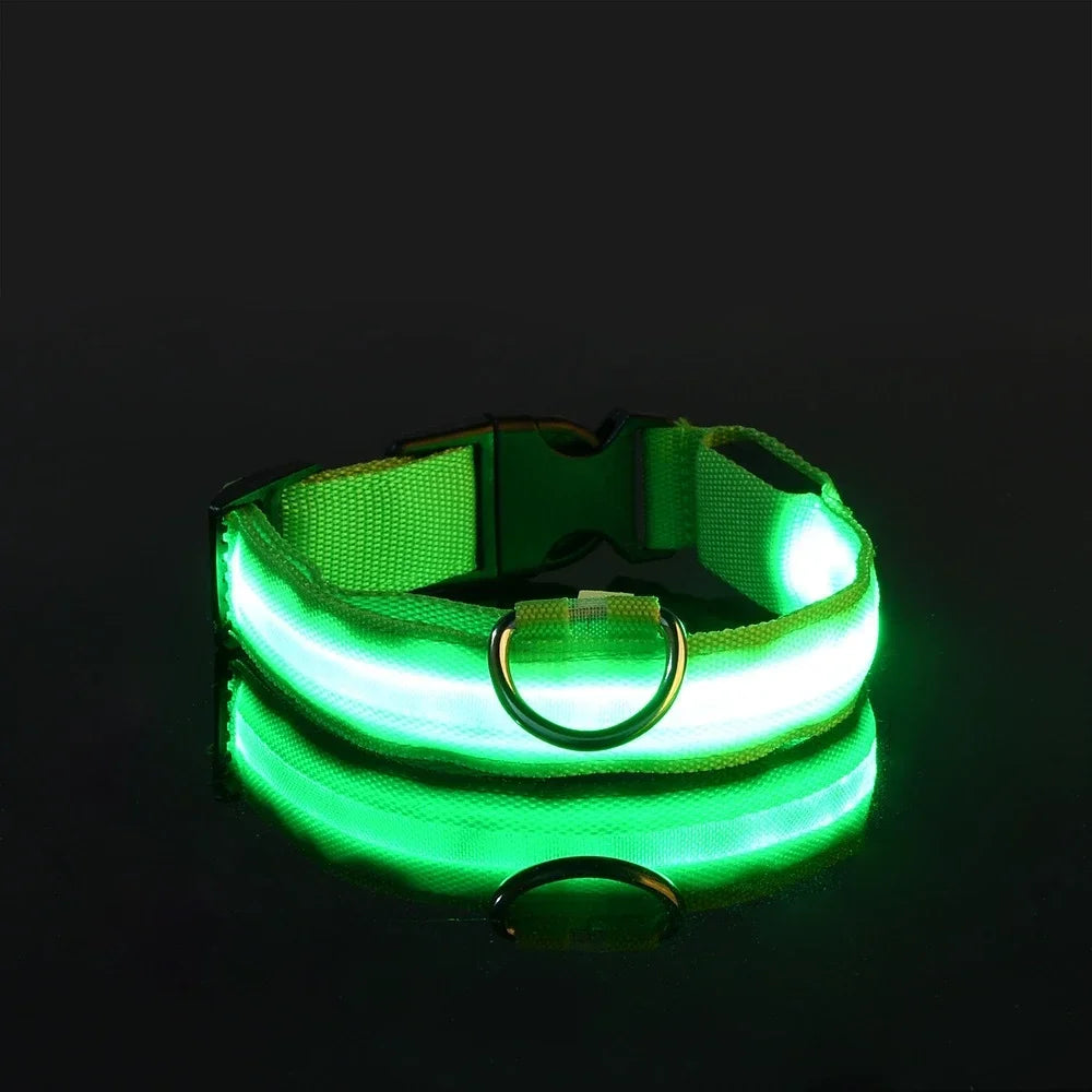 Nylon LED Dog Collar Flashing Glow Night Safety