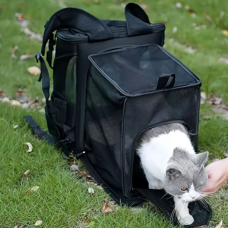 Expandable Pet Carrier Backpack For Cats Dogs Under