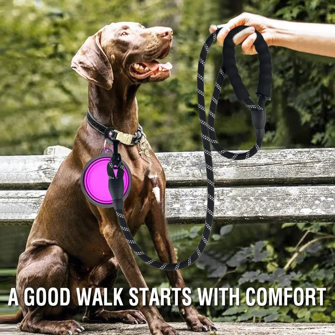 Strong Reflective Dog Leash For Small Large Dogs
