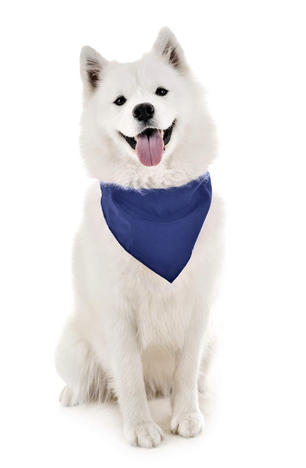 Dog Solid Bandanas Four Piece Triangle Bibs