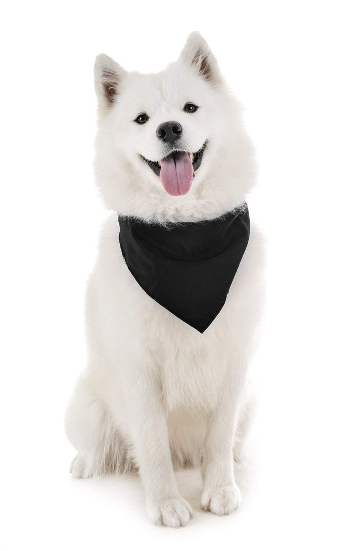 Dog Solid Bandanas Four Piece Triangle Bibs