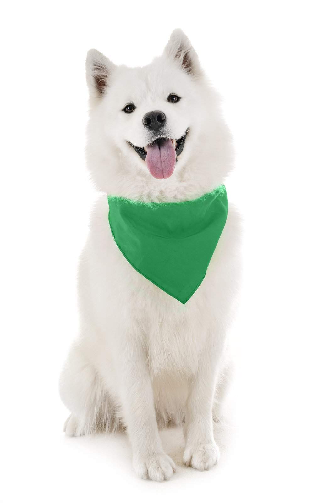 Dog Solid Bandanas Four Piece Triangle Bibs