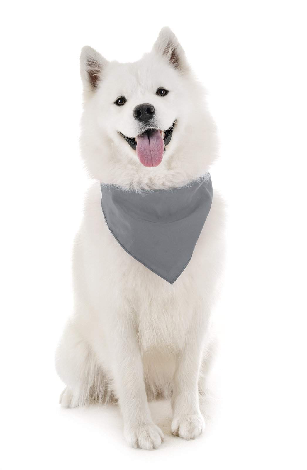 Dog Solid Bandanas Four Piece Triangle Bibs