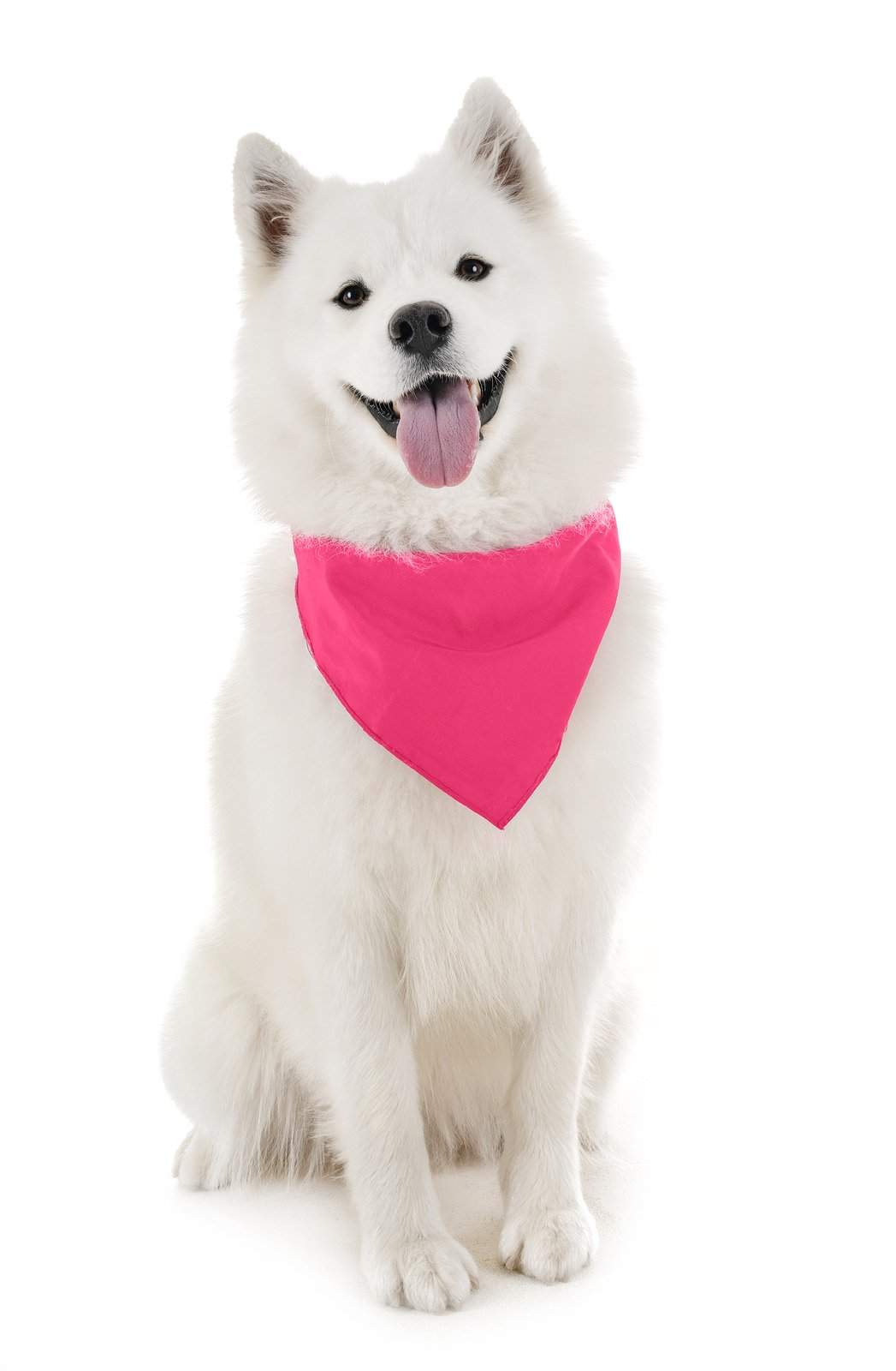 Dog Solid Bandanas Four Piece Triangle Bibs