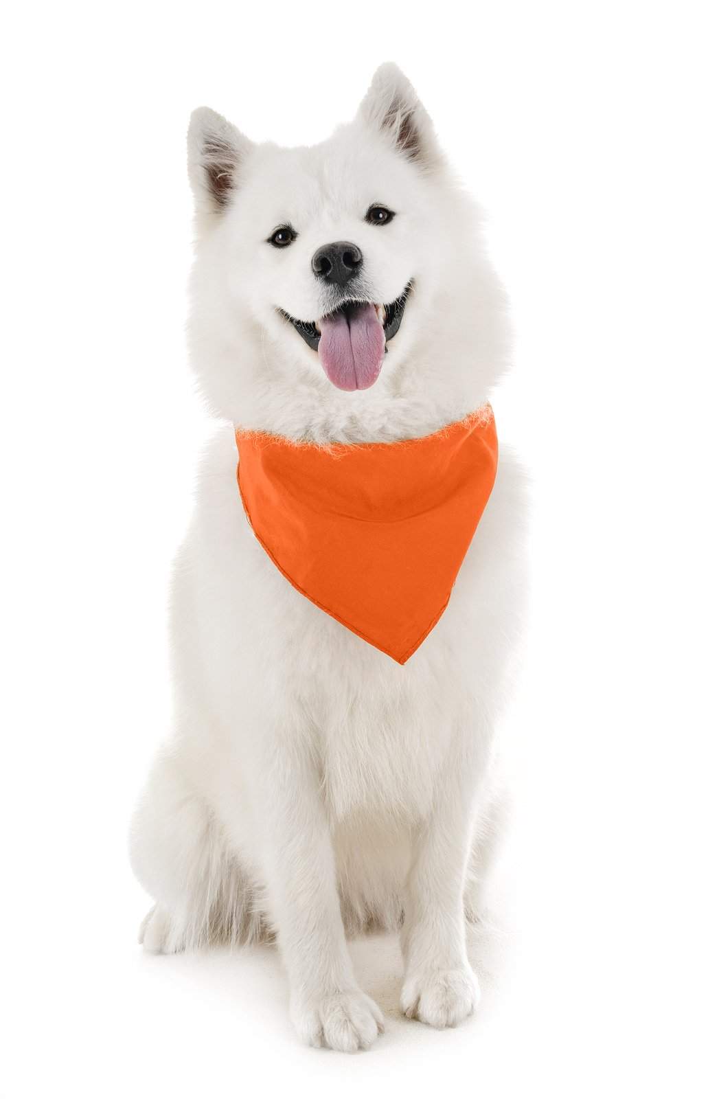 Dog Solid Bandanas Four Piece Triangle Bibs