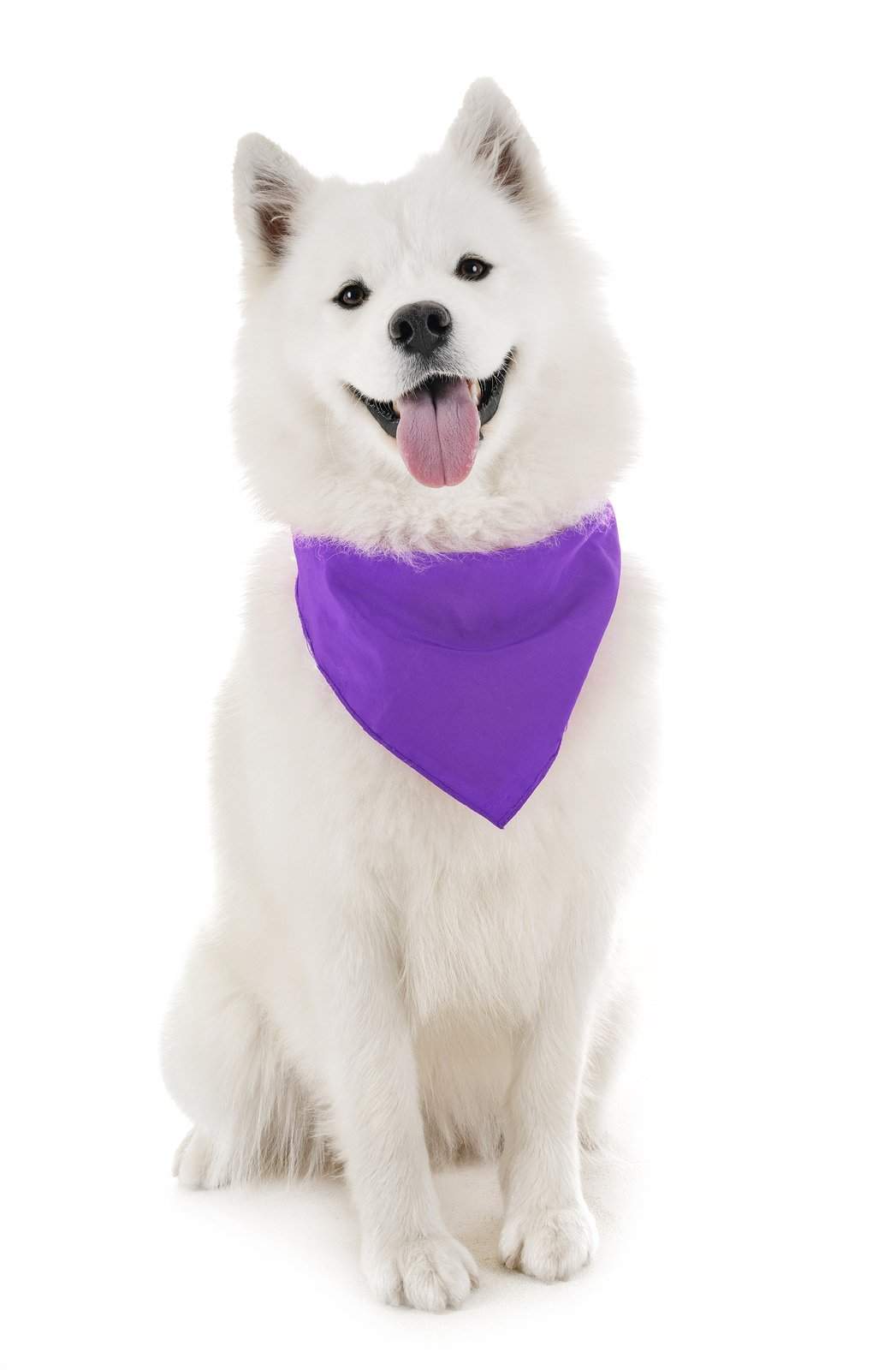 Dog Solid Bandanas Four Piece Triangle Bibs