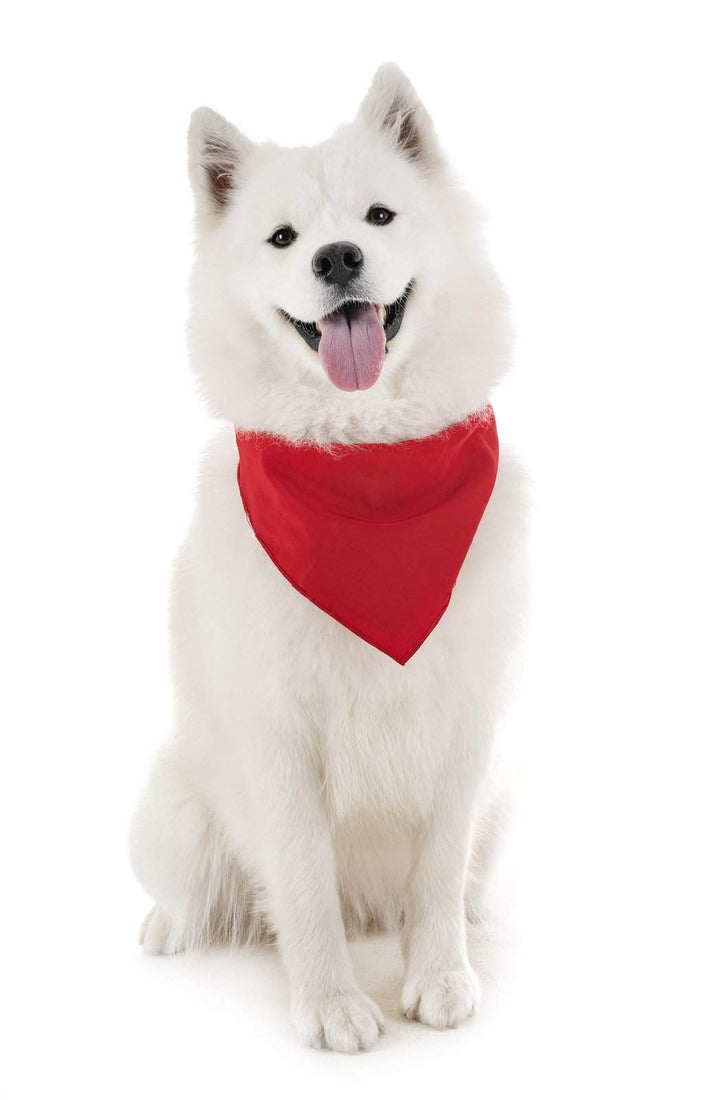 Dog Solid Bandanas Four Piece Triangle Bibs