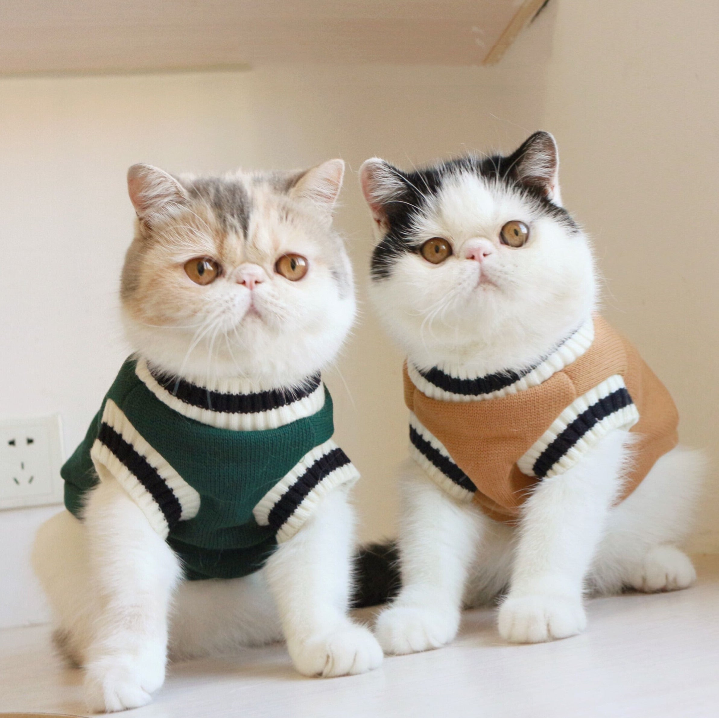 American College Style Fleece Cat Knit Sweater Vest