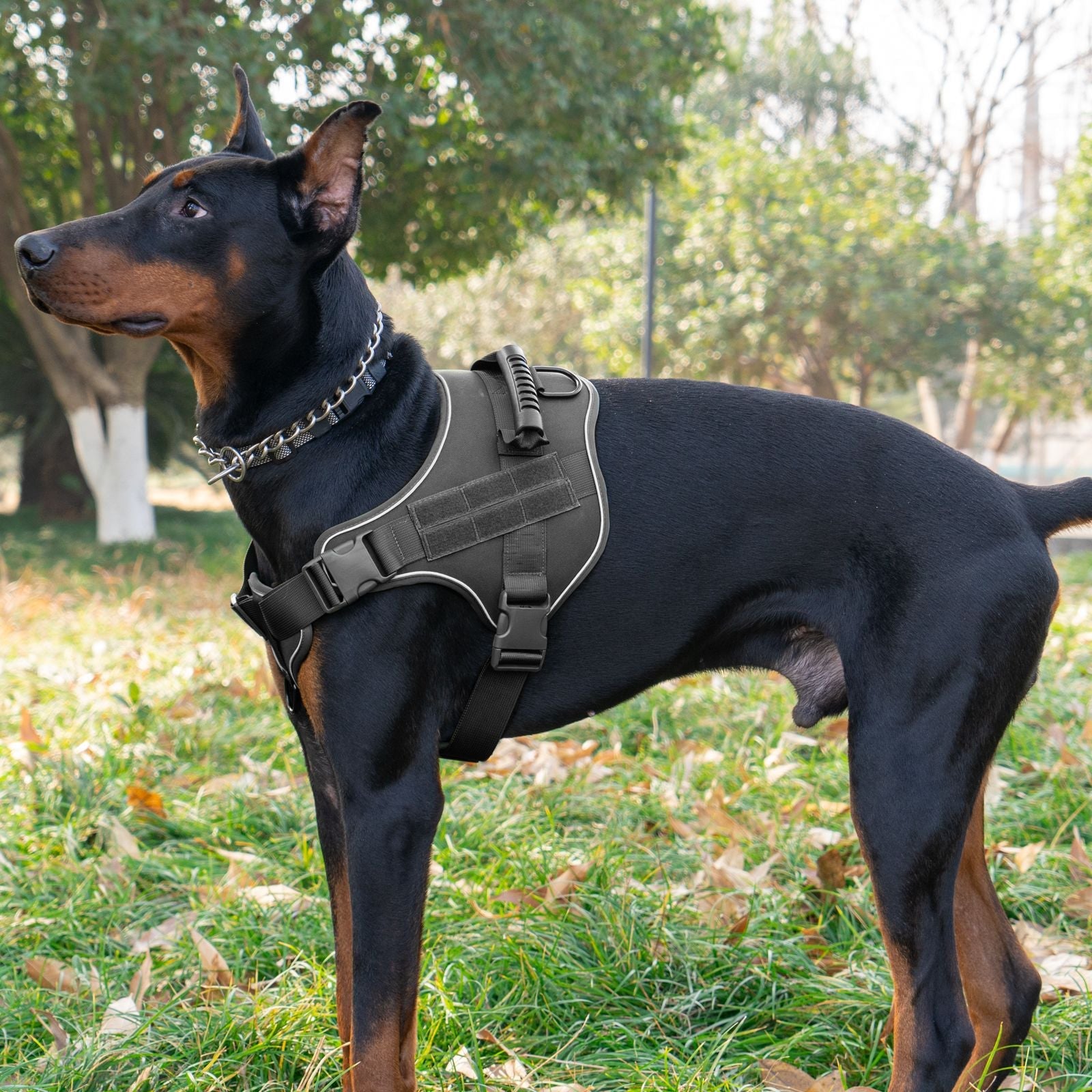 Tactical Dog Harness With Breathable Traction Rope