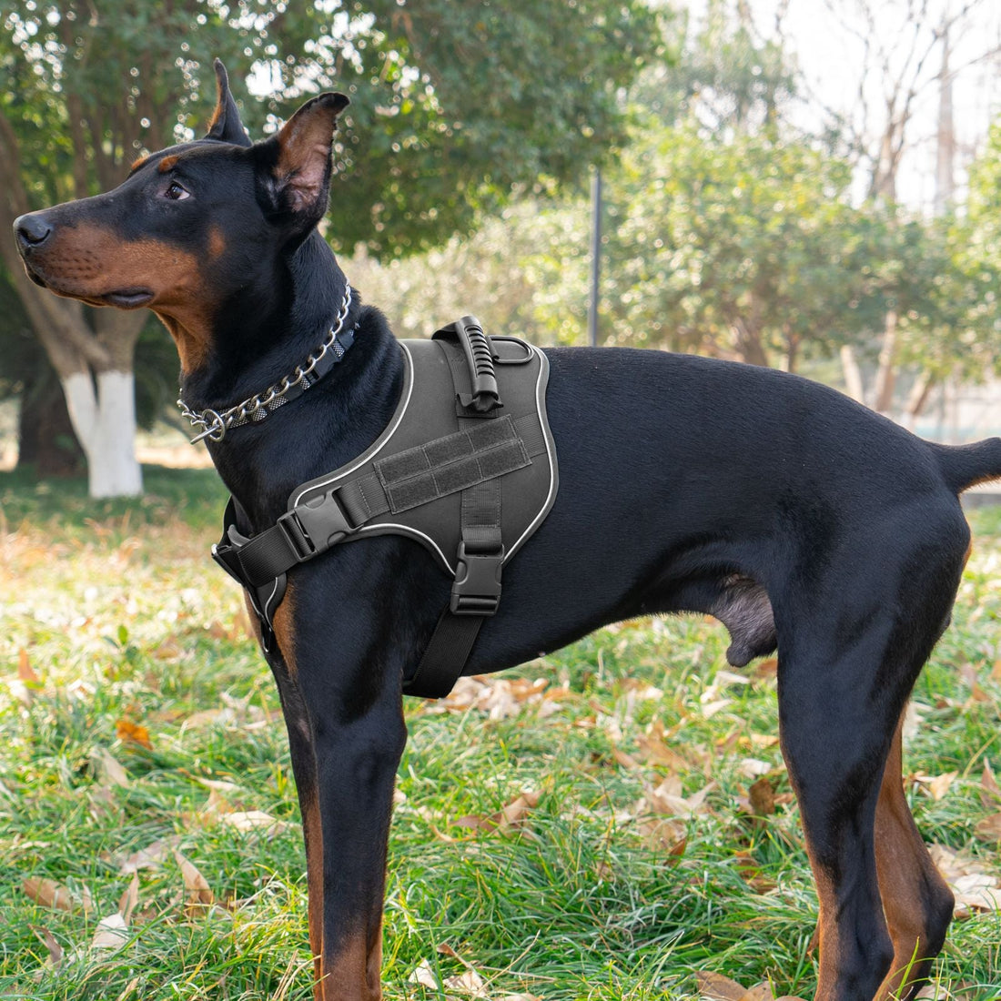 Tactical Dog Harness With Breathable Traction Rope