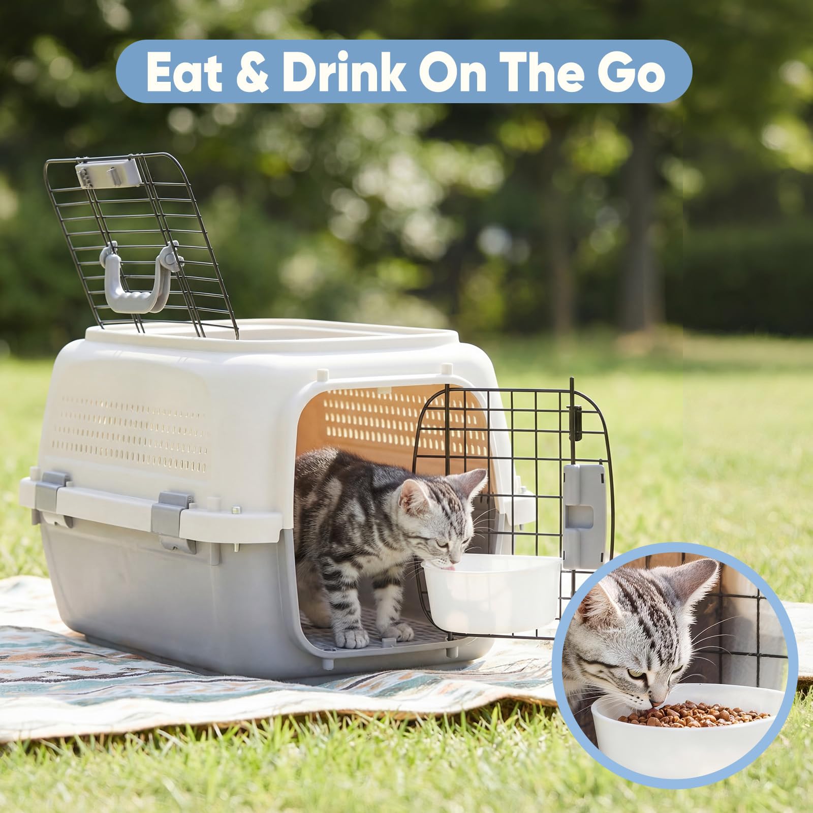 Airline Approved Pet Carrier Crate Small Dogs Cats