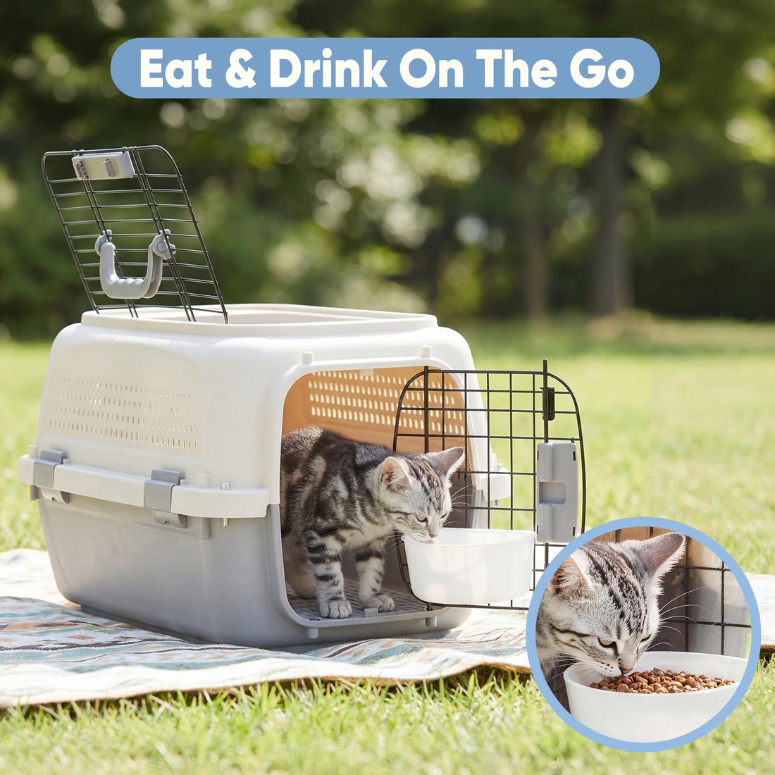Airline Approved Pet Carrier Crate Small Dogs Cats