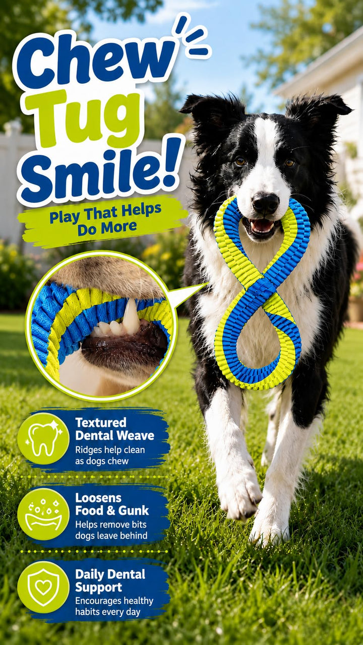 Dental Cleaning Tug Toy Textured Weave Two Loop