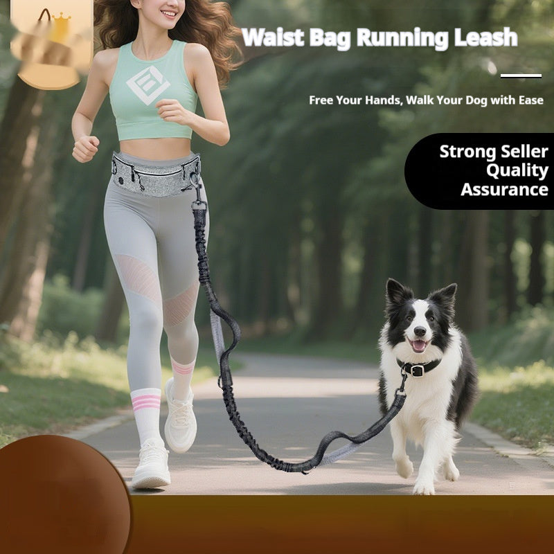Reflective Multifunctional Retractable Pet Dog Leash