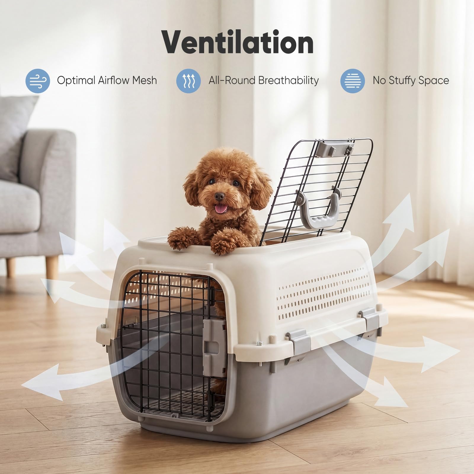 Airline Approved Pet Carrier Crate Small Dogs Cats