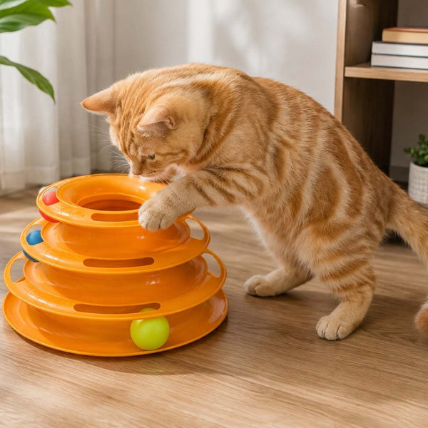 An orange cat toy with rolling balls is being played with by an orange tabby cat on a wooden floor in a bright room.